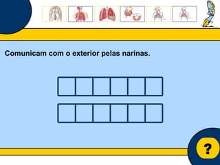 Núcleo de estágio de Biologia/Geologia ? Comunicam com o exterior pelas narinas. 