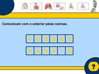 Núcleo de estágio de Biologia/Geologia ? Comunicam com o exterior pelas narinas. F O S S A S N A S A I S 