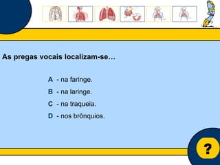 Núcleo de estágio de Biologia/Geologia ? As pregas vocais localizam-se… A   - na faringe. B   - na laringe. C   - na traqueia. D   - nos brônquios. 