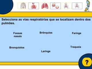 Núcleo de estágio de Biologia/Geologia ? Selecciona as vias respiratórias que se localizam dentro dos pulmões. Traqueia Fossas nasais Faringe Brônquios Laringe Bronquíolos 