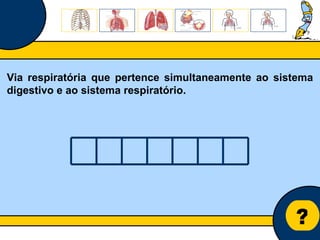 Núcleo de estágio de Biologia/Geologia ? Via respiratória que pertence simultaneamente ao sistema digestivo e ao sistema respiratório. 