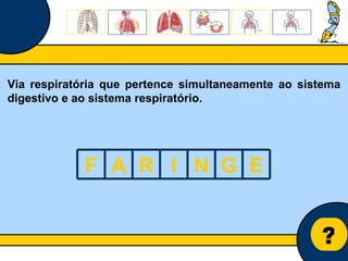 Núcleo de estágio de Biologia/Geologia ? Via respiratória que pertence simultaneamente ao sistema digestivo e ao sistema respiratório. F A R I N G E 