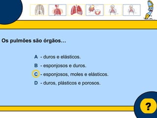 Núcleo de estágio de Biologia/Geologia ? Os pulmões são órgãos… A   - duros e elásticos. B   - esponjosos e duros. C   - esponjosos, moles e elásticos. D   - duros, plásticos e porosos. 