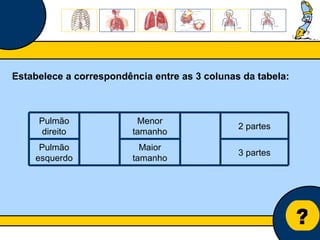 ? Estabelece a correspondência entre as 3 colunas da tabela: Pulmão direito Menor tamanho 2 partes Pulmão esquerdo Maior tamanho 3 partes 