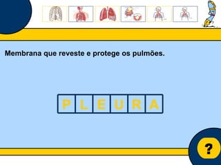 Núcleo de estágio de Biologia/Geologia ? Membrana que reveste e protege os pulmões. P L E U R A 