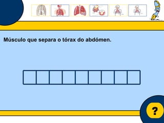 Núcleo de estágio de Biologia/Geologia ? Músculo que separa o tórax do abdómen. 
