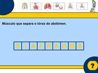 Núcleo de estágio de Biologia/Geologia ? Músculo que separa o tórax do abdómen. D I A F R A G M A 