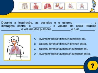 Núcleo de estágio de Biologia/Geologia ? Durante a inspiração, as costelas e o esterno __________, o diafragma contrai e __________, o volume da caixa torácica ___________, o volume dos pulmões ___________ e o ar _________. A  – levantam/ baixa/ diminui/ aumenta/ sai. B  – baixam/ levanta/ diminui/ diminui/ entra. C  – baixam/ levanta/ aumenta/ aumenta/ sai. D  – levantam/ baixa/ aumenta/ aumenta/ entra. 