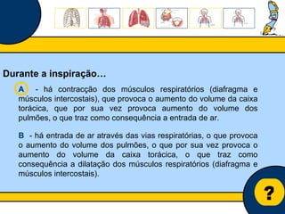 Núcleo de estágio de Biologia/Geologia ? Durante a inspiração… A   - há contracção dos músculos respiratórios (diafragma e músculos intercostais), que provoca o aumento do volume da caixa torácica, que por sua vez provoca aumento do volume dos pulmões, o que traz como consequência a entrada de ar. B   - há entrada de ar através das vias respiratórias, o que provoca o aumento do volume dos pulmões, o que por sua vez provoca o aumento do volume da caixa torácica, o que traz como consequência a dilatação dos músculos respiratórios (diafragma e músculos intercostais). 