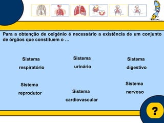 Núcleo de estágio de Biologia/Geologia ? Para a obtenção de oxigénio é necessário a existência de um conjunto de órgãos que constituem o … Sistema  nervoso Sistema  respiratório Sistema  digestivo Sistema urinário Sistema  cardiovascular Sistema  reprodutor 