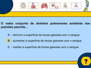 Núcleo de estágio de Biologia/Geologia ? O vasto conjunto de alvéolos pulmonares existente nos pulmões permite… A   - diminuir a superfície de trocas gasosas com o sangue. B   - aumentar a superfície de trocas gasosas com o sangue. C   - manter a superfície de trocas gasosas com o sangue. 