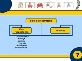Núcleo de estágio de Biologia/Geologia ? Sistema respiratório Vias  respiratórias Pulmões Faringe Brônquios Fossas nasais Laringe Traqueia Bronquíolos  
