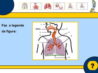 Núcleo de estágio de Biologia/Geologia ? Faz  a legenda da figura: 1 7 4 BOCA 2 3  8 5 6 
