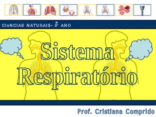 Sistema Respiratório CIÊNCIAS NATURAIS- 9º ANO Prof. Cristiana Comprido 