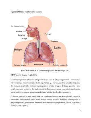 5
Figura 1: Sistema respitaratório humano
Fonte: SOROKIN, S. P. O sistema respiratório. O. Histologia. 1981.
2.2.Órgãos do sistema respiratório
O sistema respiratório é formado pelo pulmão e uma série de tubos que permitem a comunicação
entre esse órgão e o meio externo. Os tubos permitem que o ar chegue até as unidades funcionais
dos pulmões, os alvéolos pulmonares, nos quais ocorrerá o processo de trocas gasosas, com o
oxigênio presente no interior dos alvéolos se difundindo para o sangue presente nos capilares e o
gás carbônico presente no sangue passando para o interior dos alvéolos pulmonares.
O sistema respiratório pode ser dividido em porção condutora e porção respiratória. A porção
condutora é formada pelas fossas nasais, faringe, laringe, traqueia, brônquios e bronquíolos. A
porção respiratória, por sua vez, é formada pelos bronquíolos respiratórios, ductos alveolares e
alvéolos, LOWE (2015).
 