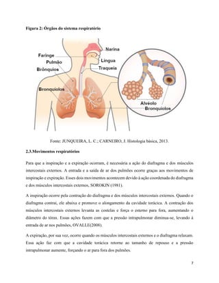 7
Figura 2: Órgãos do sistema respiratório
Fonte: JUNQUEIRA, L. C.; CARNEIRO, J. Histologia básica, 2013.
2.3.Movimentos respiratórios
Para que a inspiração e a expiração ocorram, é necessária a ação do diafragma e dos músculos
intercostais externos. A entrada e a saída de ar dos pulmões ocorre graças aos movimentos de
inspiração e expiração. Esses dois movimentos acontecem devido à ação coordenada do diafragma
e dos músculos intercostais externos, SOROKIN (1981).
A inspiração ocorre pela contração do diafragma e dos músculos intercostais externos. Quando o
diafragma contrai, ele abaixa e promove o alongamento da cavidade torácica. A contração dos
músculos intercostais externos levanta as costelas e força o esterno para fora, aumentando o
diâmetro do tórax. Essas ações fazem com que a pressão intrapulmonar diminua-se, levando à
entrada de ar nos pulmões, OVALLE(2008).
A expiração, por sua vez, ocorre quando os músculos intercostais externos e o diafragma relaxam.
Essa ação faz com que a cavidade torácica retorne ao tamanho de repouso e a pressão
intrapulmonar aumente, forçando o ar para fora dos pulmões.
 