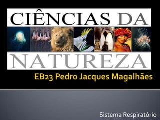 EB23 Pedro Jacques Magalhães<br />Sistema Respiratório<br />