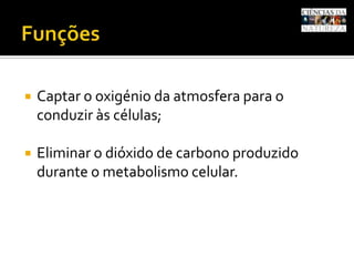 Funções<br />Captar o oxigénio da atmosfera para o conduzir às células; <br />Eliminar o dióxido de carbono produzido dura...