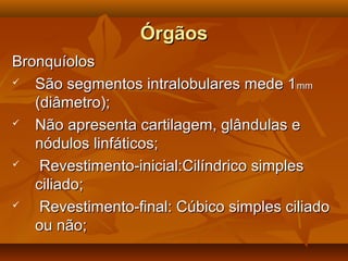 ÓrgãosÓrgãos
BronquíolosBronquíolos
 São segmentos intralobulares mede 1São segmentos intralobulares mede 1mmmm
(diâmetro);(diâmetro);
 Não apresenta cartilagem, glândulas eNão apresenta cartilagem, glândulas e
nódulos linfáticos;nódulos linfáticos;
 Revestimento-inicial:Cilíndrico simplesRevestimento-inicial:Cilíndrico simples
ciliado;ciliado;
 Revestimento-final: Cúbico simples ciliadoRevestimento-final: Cúbico simples ciliado
ou não;ou não;
 