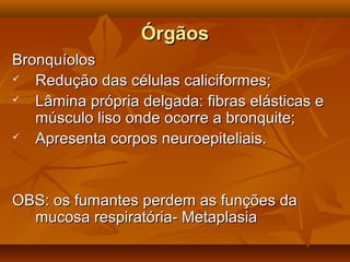 ÓrgãosÓrgãos
BronquíolosBronquíolos
 Redução das células caliciformes;Redução das células caliciformes;
 Lâmina própria delgada: fibras elásticas eLâmina própria delgada: fibras elásticas e
músculo liso onde ocorre a bronquite;músculo liso onde ocorre a bronquite;
 Apresenta corpos neuroepiteliais.Apresenta corpos neuroepiteliais.
OBS: os fumantes perdem as funções daOBS: os fumantes perdem as funções da
mucosa respiratória- Metaplasiamucosa respiratória- Metaplasia
 