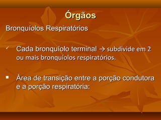 ÓrgãosÓrgãos
Bronquíolos RespiratóriosBronquíolos Respiratórios
 Cada bronquíolo terminalCada bronquíolo terminal → subdivide em 2→ subdivide em 2
ou mais bronquíolos respiratórios.ou mais bronquíolos respiratórios.
 Área de transição entre a porção condutoraÁrea de transição entre a porção condutora
e a porção respiratória:e a porção respiratória:
 