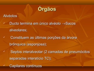 ÓrgãosÓrgãos
AlvéolosAlvéolos
 Ducto termina em único alvéoloDucto termina em único alvéolo →→SacosSacos
alveolares;alveolares;
 Constituem as últimas porções da árvoreConstituem as últimas porções da árvore
brônquica (esponjosa);brônquica (esponjosa);
 Septos interalveolar (2 camadas de pneumócitosSeptos interalveolar (2 camadas de pneumócitos
separadas interstício TC);separadas interstício TC);
 Capilares contínuosCapilares contínuos
 