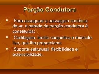 Porção CondutoraPorção Condutora
 Para assegurar a passagem contínuaPara assegurar a passagem contínua
de ar, a parede da porção condutora éde ar, a parede da porção condutora é
constituída:constituída:
 Cartilagem, tecido conjuntivo e músculoCartilagem, tecido conjuntivo e músculo
liso, que lhe proporciona:liso, que lhe proporciona:
 Suporte estrutural, flexibilidade eSuporte estrutural, flexibilidade e
extensibilidade.extensibilidade.
 