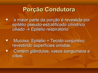 Porção CondutoraPorção Condutora
 a maior parte da porção é revestida pora maior parte da porção é revestida por
epitélio pseudo-estratificado cilíndricoepitélio pseudo-estratificado cilíndrico
ciliadociliado →→ Epitélio respiratórioEpitélio respiratório
 Mucosa: Epitélio + Tecido conjuntivo,Mucosa: Epitélio + Tecido conjuntivo,
revestindo superfícies úmidas.revestindo superfícies úmidas.
 Contém glândulas, vasos sanguíneos eContém glândulas, vasos sanguíneos e
cílios.cílios.
 