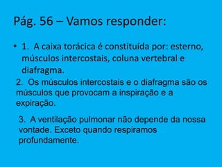 Pág. 56 – Vamos responder:
• 1. A caixa torácica é constituída por: esterno,
músculos intercostais, coluna vertebral e
diafragma.
2. Os músculos intercostais e o diafragma são os
músculos que provocam a inspiração e a
expiração.
3. A ventilação pulmonar não depende da nossa
vontade. Exceto quando respiramos
profundamente.
 