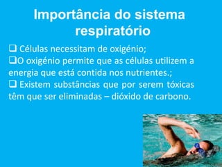 Importância do sistema
respiratório
 Células necessitam de oxigénio;
O oxigénio permite que as células utilizem a
energia que está contida nos nutrientes.;
 Existem substâncias que por serem tóxicas
têm que ser eliminadas – dióxido de carbono.
 
