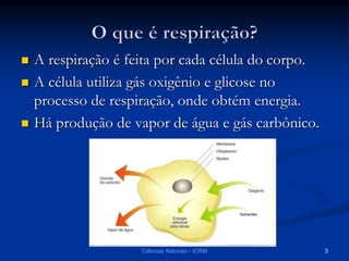  A respiração é feita por cada célula do corpo.
 A célula utiliza gás oxigênio e glicose no
processo de respiração, onde obtém energia.
 Há produção de vapor de água e gás carbônico.
Ciências Naturais - ICRM 3
 