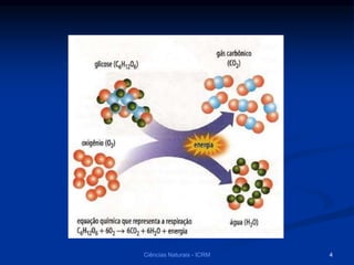Ciências Naturais - ICRM 4
 