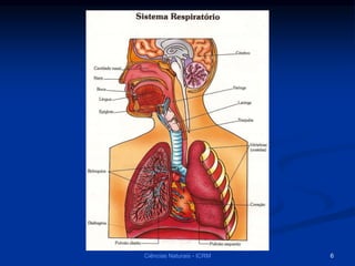 Ciências Naturais - ICRM 6
 
