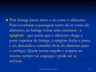  Pela faringe passa tanto o ar como o alimento.
Para coordenar a passagem tanto do ar como do
alimento, na faringe existe uma estrutura - a
epiglote - que assim que o alimento chega a
parte superior da faringe, a epiglote fecha a passa
o ar, deixando o caminho livre do alimento para
o esôfago. Quem tentar engolir e respirar ao
mesmo tempo vai engasgar e pode até se
sufocar.
Ciências Naturais - ICRM 9
 
