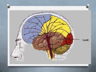 Sistema reticular | PPTX
