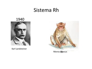 Sistema Rh
    1940




Karl Landsteiner
                          Monos Rhesus
 