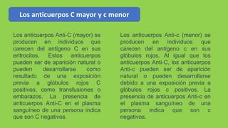 Los anticuerpos C mayor y c menor
Los anticuerpos Anti-C (mayor) se
producen en individuos que
carecen del antígeno C en sus
eritrocitos. Estos anticuerpos
pueden ser de aparición natural o
pueden desarrollarse como
resultado de una exposición
previa a glóbulos rojos C
positivos, como transfusiones o
embarazos. La presencia de
anticuerpos Anti-C en el plasma
sanguíneo de una persona indica
que son C negativos.
Los anticuerpos Anti-c (menor) se
producen en individuos que
carecen del antígeno c en sus
glóbulos rojos. Al igual que los
anticuerpos Anti-C, los anticuerpos
Anti-c pueden ser de aparición
natural o pueden desarrollarse
debido a una exposición previa a
glóbulos rojos c positivos. La
presencia de anticuerpos Anti-c en
el plasma sanguíneo de una
persona indica que son c
negativos.
 