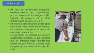 EL RH NULO
• Rh nulo es un fenotipo sanguíneo
extremadamente raro caracterizado
por la carencia de los antígenos Rh,
incluido el antígeno D y otros
antígenos Rh como C, c, E y e.
• Rh nulo se considera uno de los tipos
de sangre más raros en el mundo,
con apenas unas pocas docenas de
casos documentados.
• La condición se hereda de manera
autosómica recesiva, lo que significa
que un individuo debe heredar dos
copias del gen Rh nulo (una de cada
progenitor) para tener el fenotipo Rh
nulo.
 