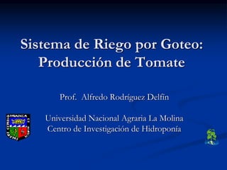 Sistema de Riego por Goteo:
Producción de Tomate
Prof. Alfredo Rodríguez Delfín
Universidad Nacional Agraria La Molina
Centro de Investigación de Hidroponía
 