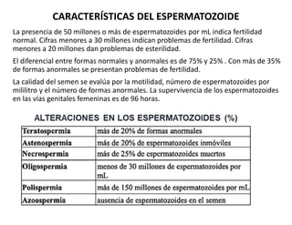 CARACTERÍSTICAS DEL ESPERMATOZOIDE
La presencia de 50 millones o más de espermatozoides por mL indica fertilidad
normal. C...