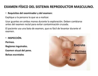 EXAMEN FÍSICO DEL SISTEMA REPRODUCTOR MASCULINO.
• Requisitos del examinador y del examen:
Explique a la persona lo que va...