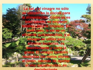 La sal y el vinagre no sólo se utilizan en la cocina para la alimentación. Como ya es bien sabido, se emplean también para la limpieza. En este caso, la sal es un eficiente quitamanchas, y el vinagre se utiliza para eliminar bacterias, es desinfectante y corta la grasa. El vinagre también neutraliza los malos olores; el limón, además de aportar el olor característico, es desinfectante.