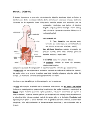 SISTEMA DIGESTIVO


El aparato digestivo es un largo tubo, con importantes glándulas asociadas, siendo su función la
transformación de las complejas moléculas de los alimentos en sustancias simples y fácilmente
utilizables por el organismo. Estos compuestos nutritivos simples son absorbidos por las
                                            vellosidades intestinales, que tapizan el intestino
                                            delgado. Así pues, pasan a la sangre y nutren todas y
                                            cada una de las células del organismo. Mide unos 11
                                            metros de longitud.


                                            Está formado por:
                                                      El Tubo digestivo: sus paredes están
                                                formadas por cuatro capas, de adentro hacia fuera
                                                son: mucosa, submucosa, muscular y serosa)
                                            Las glándulas digestivas anexas: encargadas de
                                            producir enzimas, entre estas tenemos: glándulas
                                            salivales, el hígado y el páncreas).


                                            Funciones: realiza tres funciones básicas
                                            La ingestión: consiste en recibir los alimentos,
                                            masticarlos y tragarlos.
La digestión: que es la descomposición de los alimentos en los nutrientes que los conforman.
La absorción: que es el paso de las sustancias nutrientes a través de las paredes del intestino,
las cuales entran en el torrente circulatorio para llegar hasta las células de todos los tejidos del
cuerpo. Los materiales sobrantes salen posteriormente por el ano.


Los órganos que constituyen el sistema digestivo son los siguientes:


La boca: es el órgano de entrada de los alimentos, está formada por: los labios, los dientes
(estructuras óseas que sirven para masticar los alimentos), las encías (sostienen a los dientes), la
lengua (órgano muscular que tiene papilas gustativas, estructuras sensoriales que ayudan a
detectar sabores), mueve el alimento, permite que se mezcle con la saliva y cuando se ha formado
el bolo alimenticio, éste es empujado hacia la faringe por ella, en la deglución. El paladar (está
tapizado por un epitelio y posee diferentes tipos de glándulas salivales parótidas, se encuentran
debajo del oído; las submaxilares, se encuentra debajo del maxilar; y las sublinguales, bajo la
lengua).
 