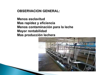 OBSERVACION GENERAL:
Menos esclavitud
Mas rapidez y eficiencia
Menos contaminación para la leche
Mayor rentabilidad
Mas producción lechera
 
