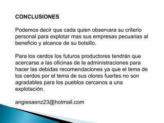 CONCLUSIONES
Podemos decir que cada quien observara su criterio
personal para explotar mas sus empresas pecuarias al
beneficio y alcance de su bolsillo.
Para los cerdos los futuros productores tendrán que
acercarse a las oficinas de la administraciones para
hacer las debidas recomendaciones ya que el tema de
los cerdos por el tema de sus olores fuertes no son
agradables para los pueblos cercanos a una
explotación.
angiesaenz23@hotmail.com
 