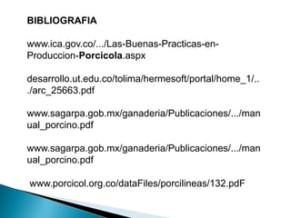 BIBLIOGRAFIA
www.ica.gov.co/.../Las-Buenas-Practicas-en-
Produccion-Porcicola.aspx
desarrollo.ut.edu.co/tolima/hermesoft/portal/home_1/..
./arc_25663.pdf
www.sagarpa.gob.mx/ganaderia/Publicaciones/.../man
ual_porcino.pdf
www.sagarpa.gob.mx/ganaderia/Publicaciones/.../man
ual_porcino.pdf
www.porcicol.org.co/dataFiles/porcilineas/132.pdF
 