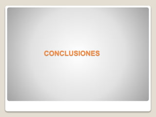CONCLUSIONES
 