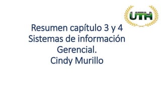 Resumen capítulo 3 y 4
Sistemas de información
Gerencial.
Cindy Murillo
 