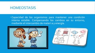 HOMEOSTASIS
 Capacidad de los organismos para mantener una condición
interna estable. Compensando los cambios en su entorno,
mediante el intercambio de materi a y energía.
 