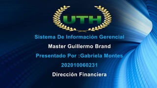 Sistema De Información Gerencial
Master Guillermo Brand
Presentado Por :Gabriela Montes
202010060231
Dirección Financiera
 